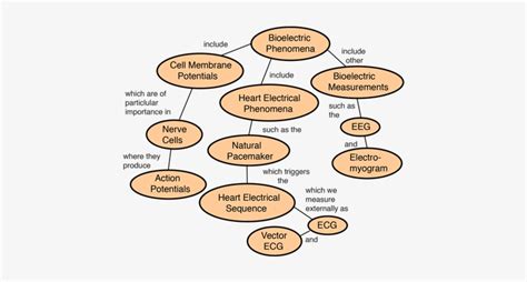 Magnetism Images In Hyperphysics - 598x384 PNG Download - PNGkit