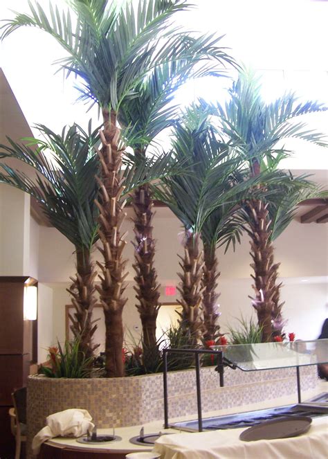 Preserved Artificial Palm Trees, Phoenix Palms, Junipers, and Bear ...