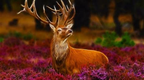 Stag Wallpaper Hd (#3018302) - HD Wallpaper & Backgrounds Download