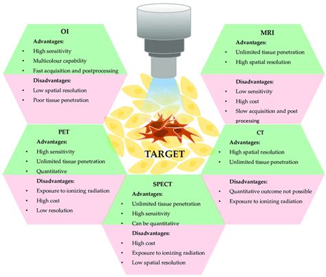 Advantages and limitations of different biomedical imaging techniques ...