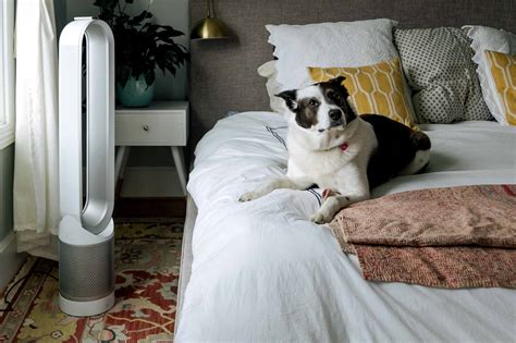 The Dyson Air Purifying Fan: A Cool Solution For Our Cozy Room - The ...