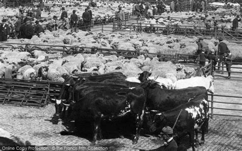 Photo of Norwich, Cattle Market 1896 - Francis Frith