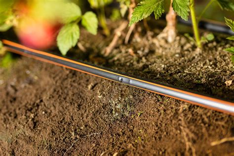 Drip Irrigation Systems | Netafim