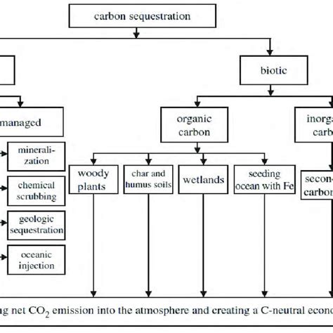 The life cycle of Helicoverpa armigera... | Download Scientific Diagram