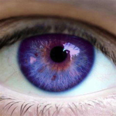 What does it mean if your the color purple – The Meaning Of Color