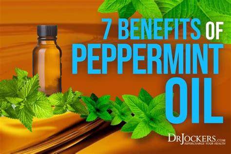 7 Benefits of Peppermint Essential Oil for Brain and Body