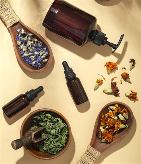 Herbal Extracts: 8 Potential Benefits & Safety Tips To Note