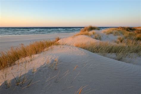 Sand Dunes Beach Pictures | Download Free Images on Unsplash