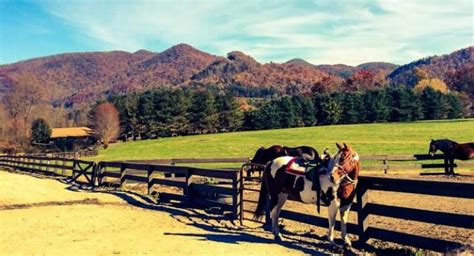 Spend a Day Enjoying the Beauty at the Dillard House in Georgia