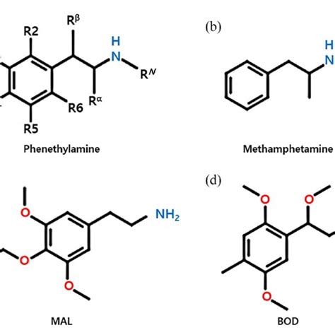 The novel substituted phenethylamines (a) phenethylamine (PEA) base... | Download Scientific Diagram