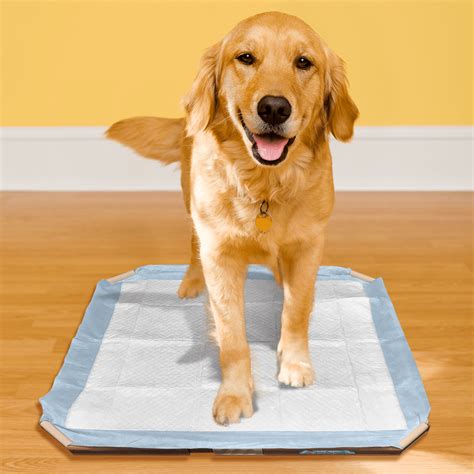 Training Pad Holder - Naturally For Pets