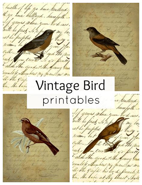 Vintage Bird Printables for Fall - Town & Country Living