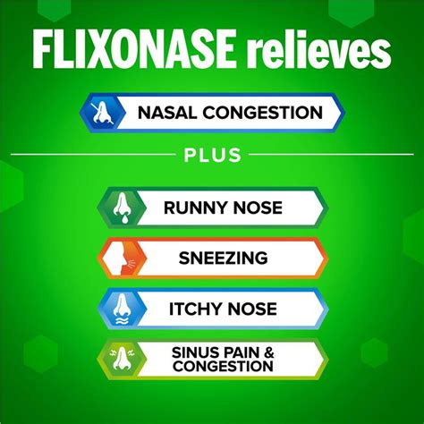 Buy Flixonase Allergy 24 Hour Nasal Spray 120 Doses Online at Chemist ...