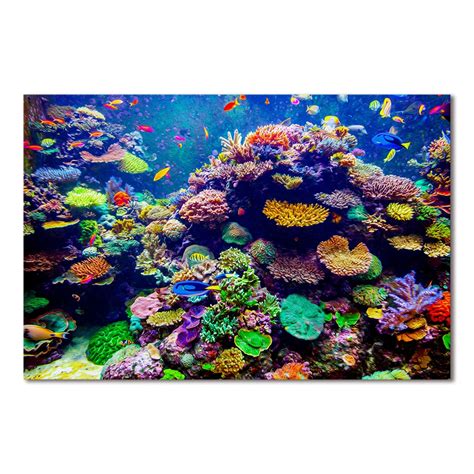 Coral Reef Painting - Coral Reef by MGL Meiklejohn Graphics Licensing ...