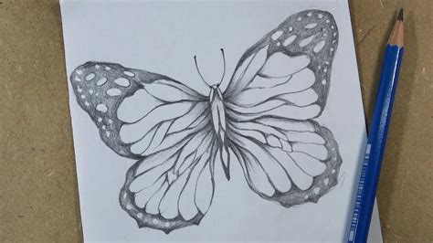 Butterfly Pencil Drawing