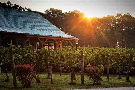 Live Music at Cape May Winery – Events Calendar