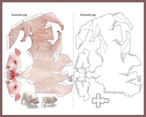 DOMESTIC PIG 3D Papercraft / Animals Papercraft / Printable - Etsy UK