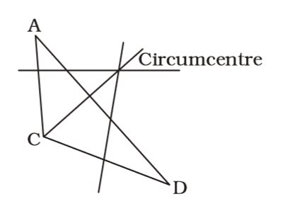 Circumcenter Of An Obtuse Triangle