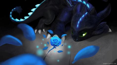 Toothless Wallpaper