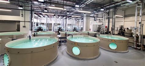 Recirculating Aquaculture Systems Manufacturing & Supply | MAT-KULING