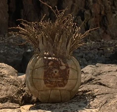 What Tom Hank's volleyball Wilson looks like now as Castaway turns 15 ...