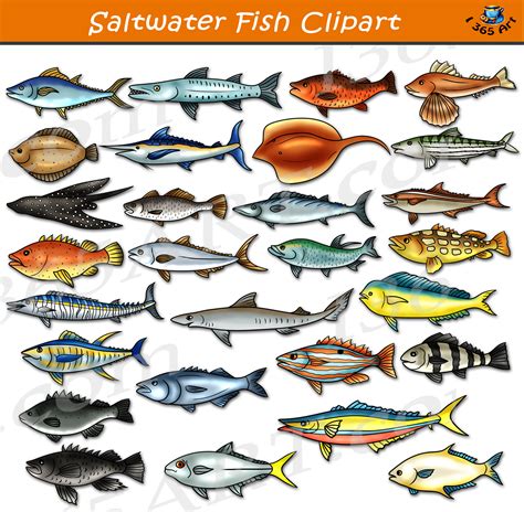 Saltwater Fish Clipart Set Download - Clipart 4 School