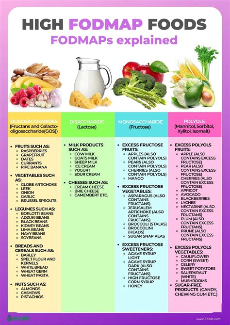 Low Fodmap Diet What Are Low Fodmap Foods How To Implement Lo – NBKomputer