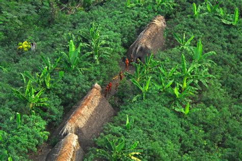 New online map tracks threats to uncontacted Indigenous peoples in ...