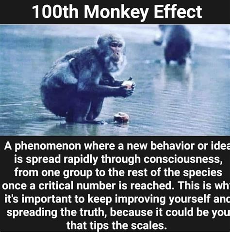 Hundredth Monkey Effect