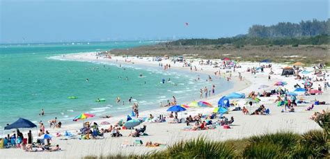 Fort De Soto Park beach, Tampa, USA - Ultimate guide (November 2024)