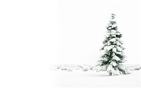 Tổng hợp 999 White background christmas Đẹp lung linh, tải miễn phí