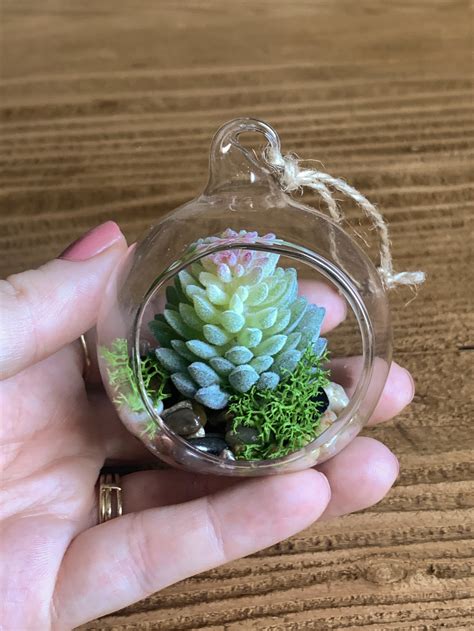 DIY: Faux Succulent Mini Hanging Terrariums — Blog — Design Confetti