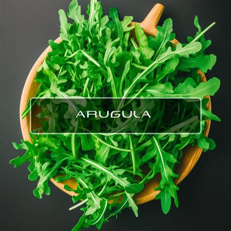 Arugula – Interstellar Blends | Activate Your Super Powers!