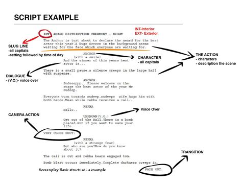 Meet the Reader: How to Write a Screenplay in Nine (Not So) Easy Steps ...