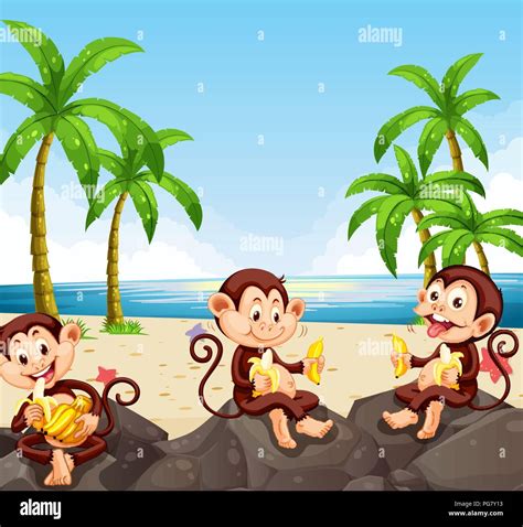 Monkey eating banana at the beach illustration Stock Vector Image & Art - Alamy