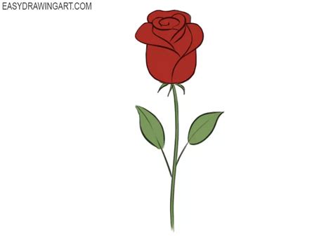 How to Draw a Rose - Easy Drawing Art