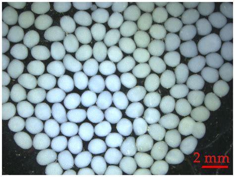 Anti-Streptococcus mutans and anti-biofilm activities of dextranase and its encapsulation in ...