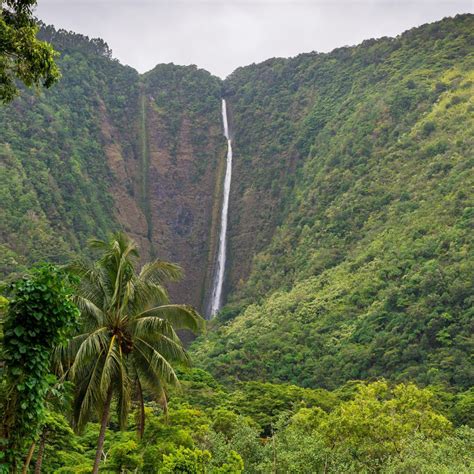 Waterfall Hi’ilawe in the Waipio Valley – Hawaii Ziplines™