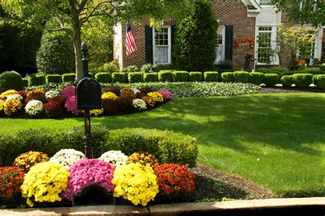 12 Simple Front Yard Landscaping Ideas | MYMOVE