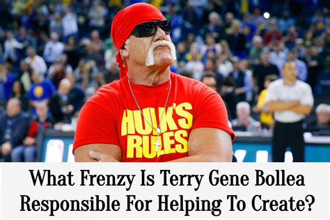 What Frenzy Is Terry Gene Bollea Responsible For Helping To Create?