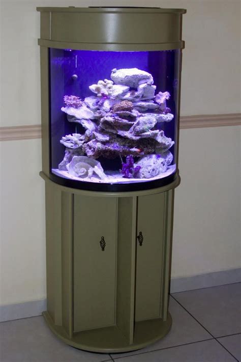 Half Moon Aquarium 30 Gallon | Aquarium stand, Aquarium, Fresh water fish tank