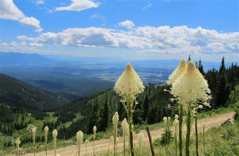 Whitefish, Montana Things To Do - MountainZone