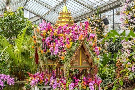 Kew Gardens - The Festival of Orchids and Other Delights | BaldHiker