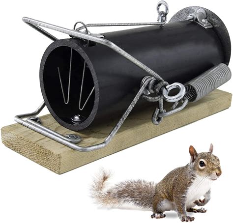 Best Squirrel Trap 2023 | TOP 15 Squirrel Traps