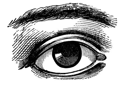 The First Harmonic Eyes Clipart