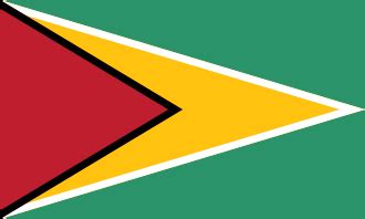 Guyana at the 2019 Parapan American Games - Wikipedia
