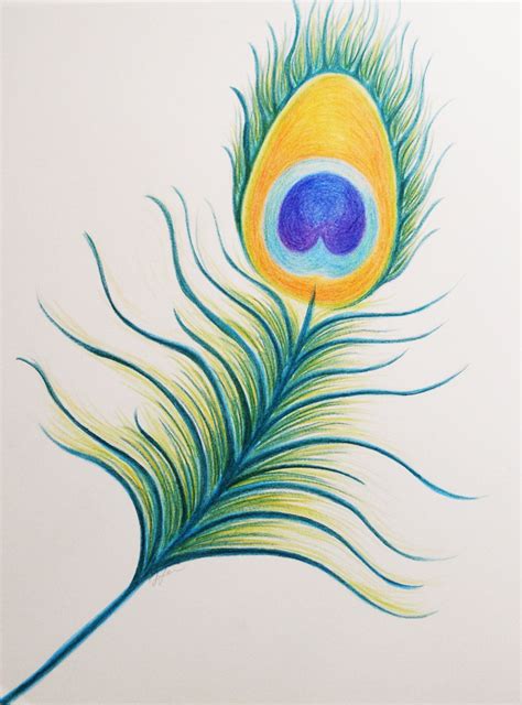 Peacock Feather Pencil Drawing