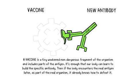 How do vaccines work?