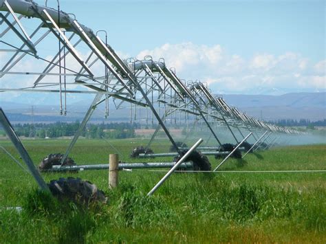 Explore the World of Micro-Irrigation Systems: Types, Benefits & Cost