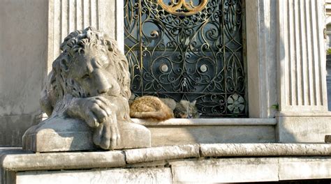 Recoleta Cemetery Tours - Book Now | Expedia